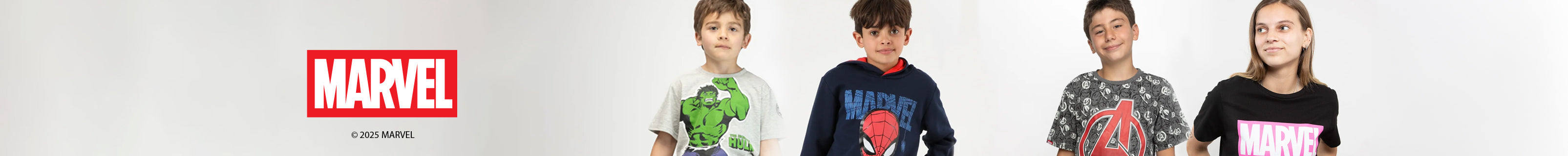 Poleras y Polerones de Hulk, Spiderman, Spidey, Avengers, Marvel