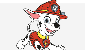 PAWPATROL10