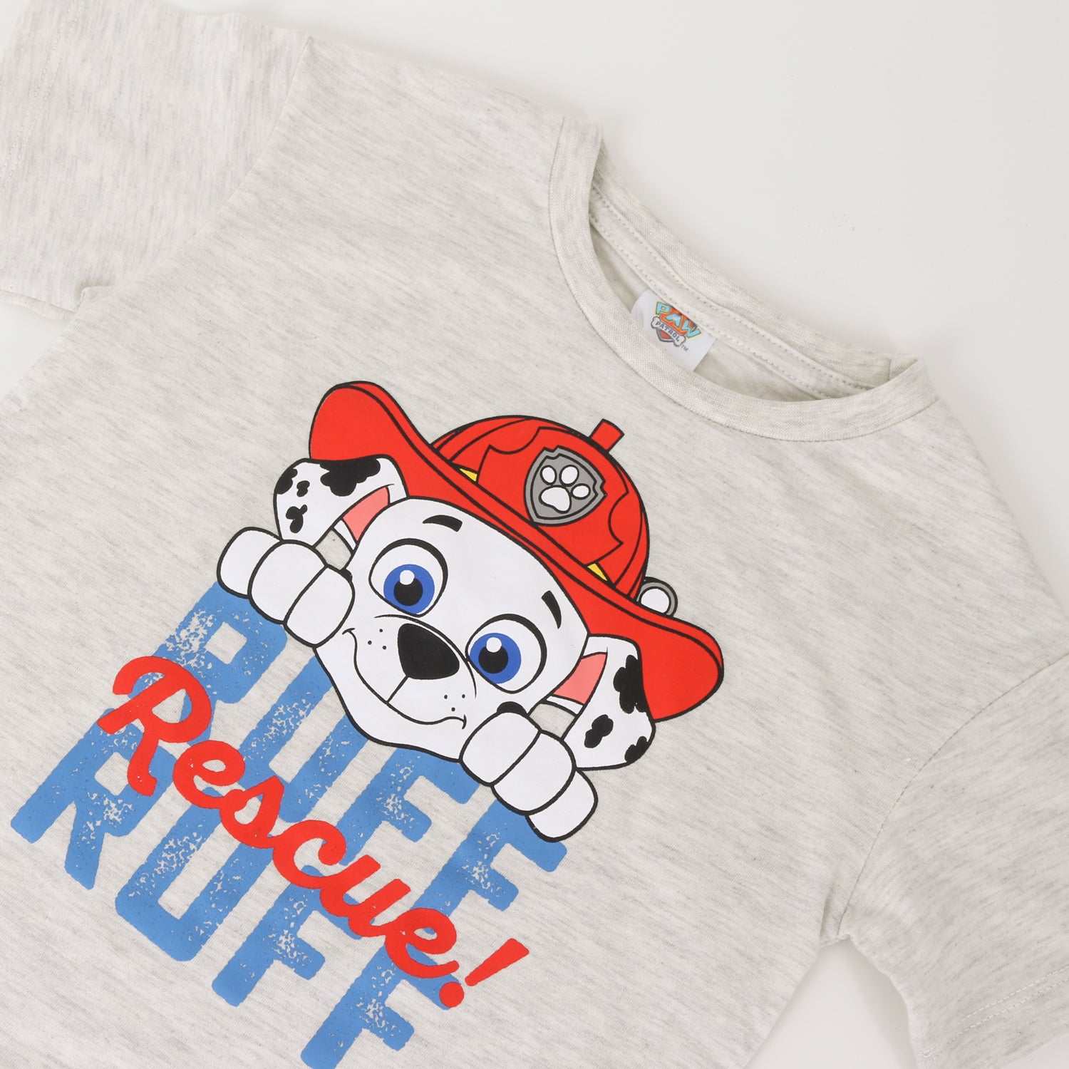 Conjunto Niño Gris Marshall Paw Patrol