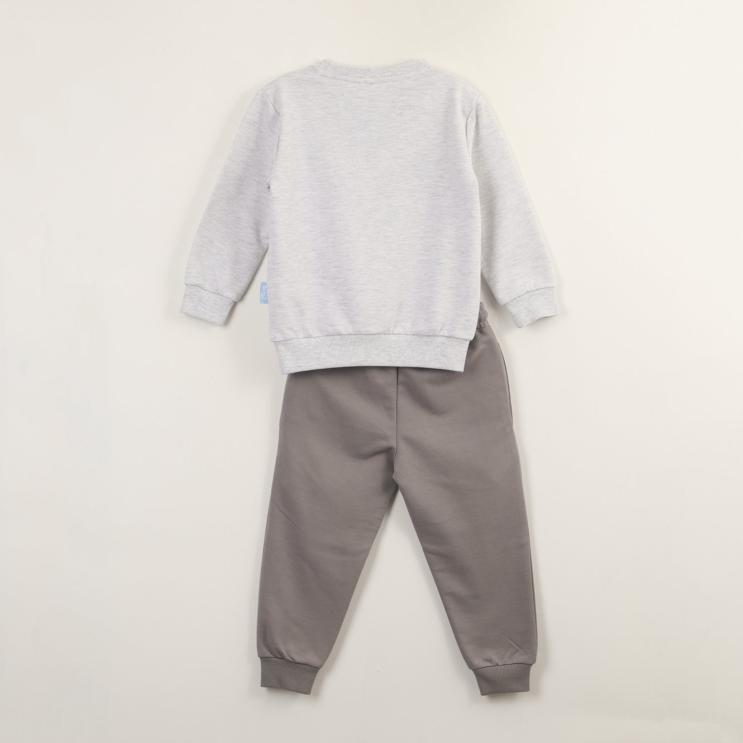 Conjunto Buzo Niño Gris Bluey Y Sus Amigos