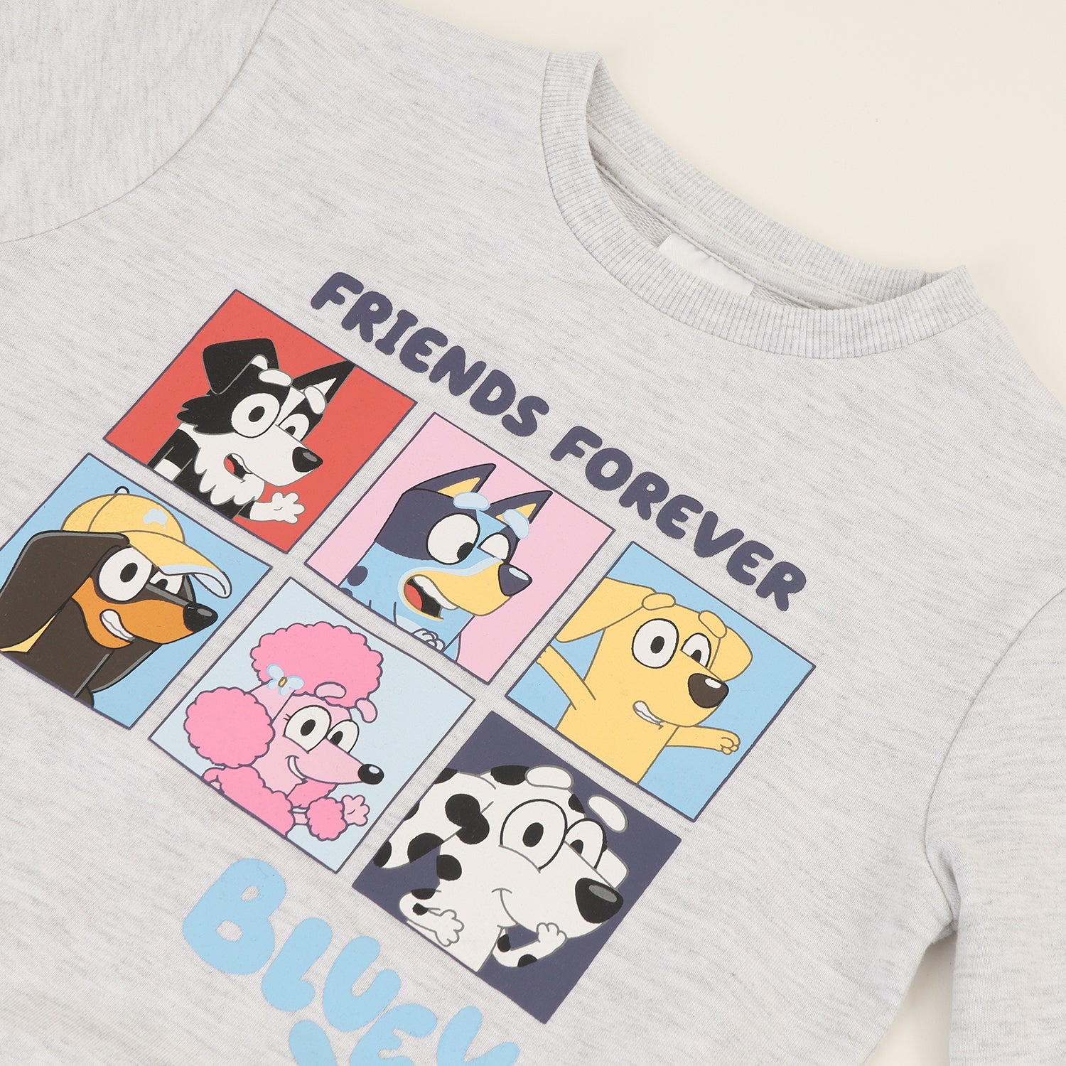 Conjunto Buzo Niño Gris Bluey Y Sus Amigos