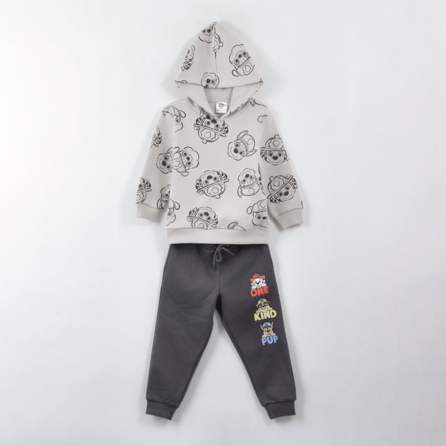 Conjunto Buzo Niño Full Print Friends Gris Paw Patrol - Buzos Chile | The Brands Club cl