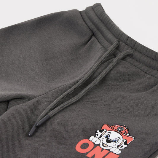 Conjunto Buzo Niño Full Print Friends Gris Paw Patrol - Buzos Chile | The Brands Club cl