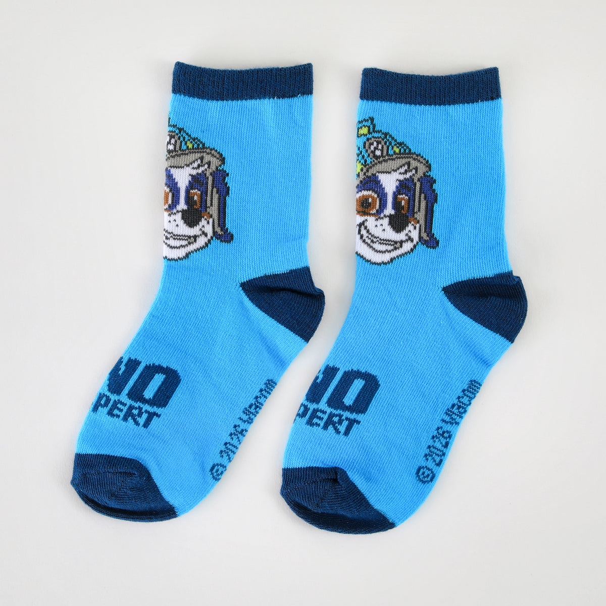 Calcetín 2P Niño Paw Patrol Dino Expert Celeste - Calcetines Chile | The Brands Club cl