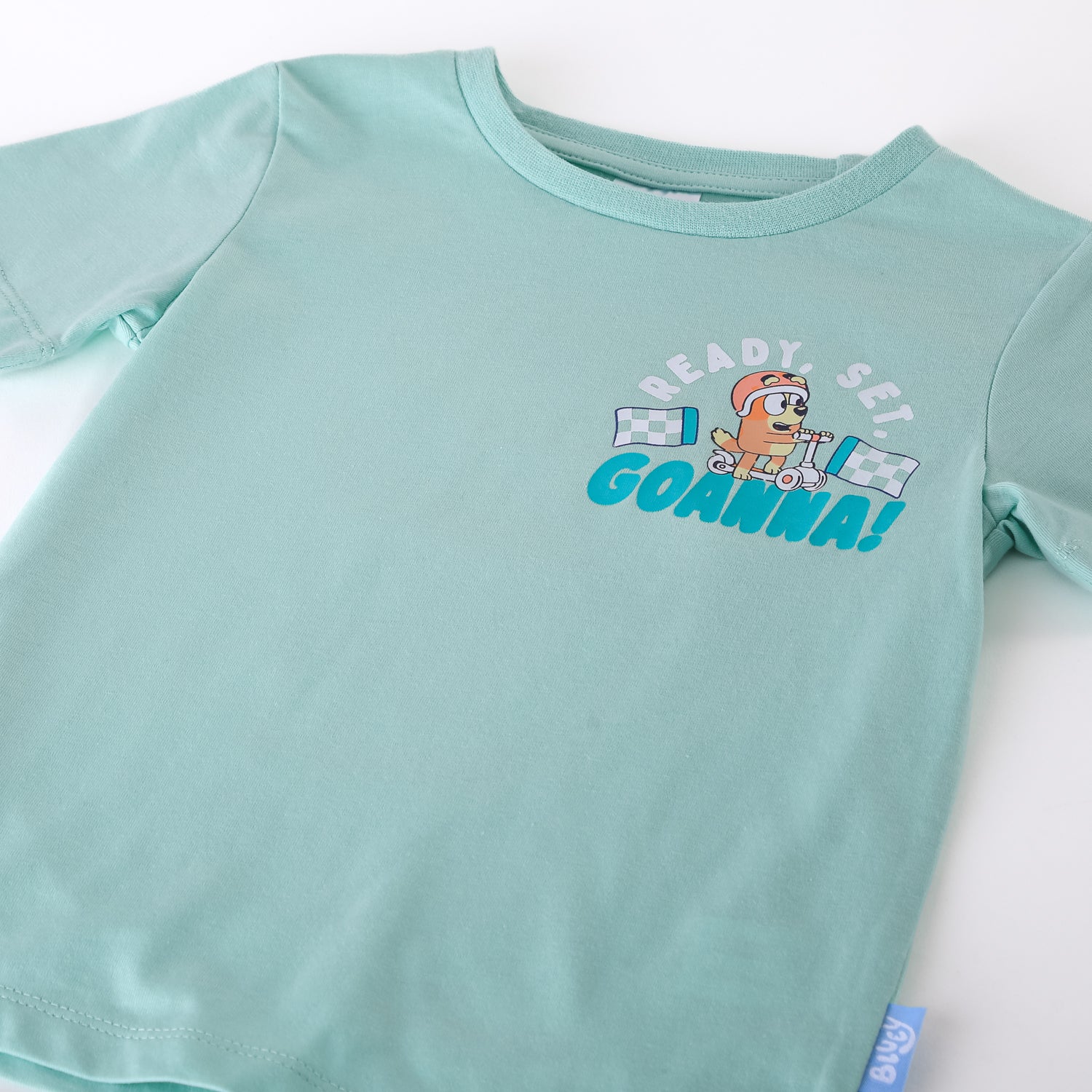Conjunto Niño Bingo Frente Verde Bluey