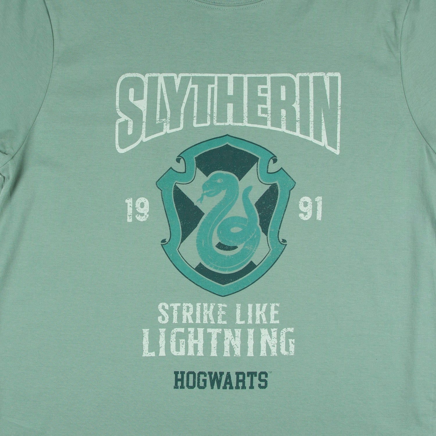 Polera Hombre Slytheryn 1991 Verde Harry Potter