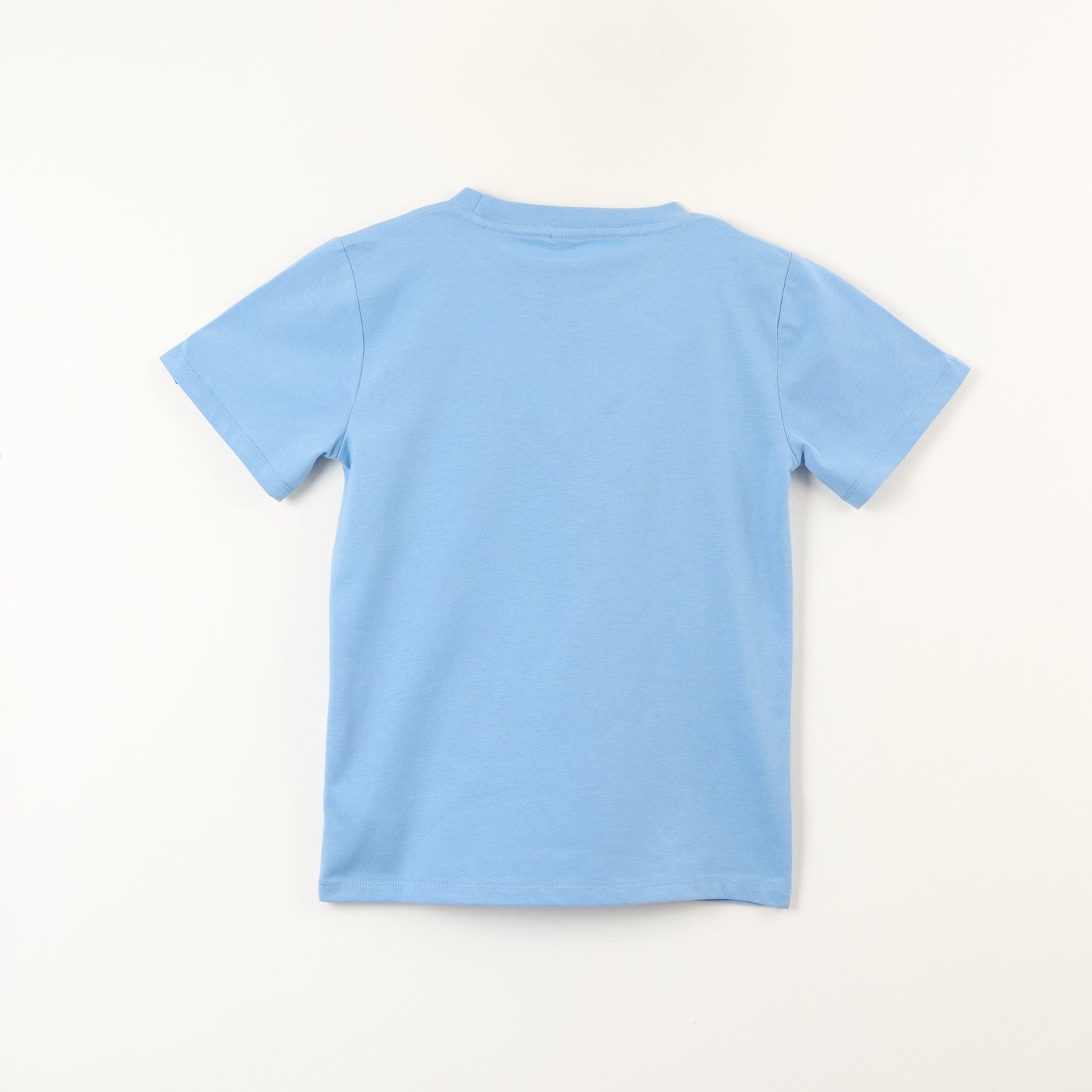 Polera Manga Corta Niño Pose Azul Sonic