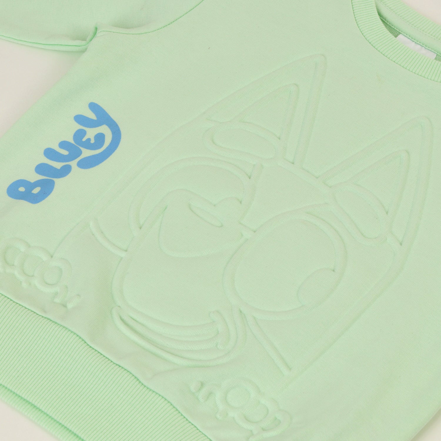 Poleron Cerrado Niña Relieve Emboss Verde Bluey