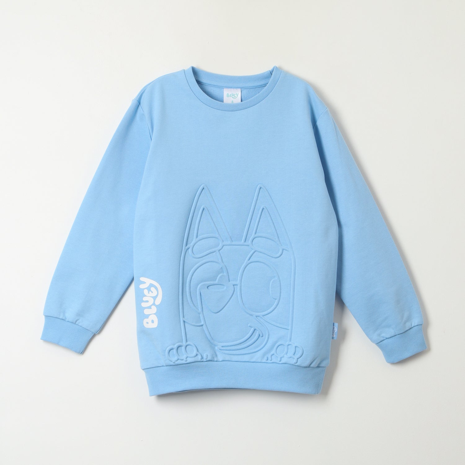 Poleron Cerrado Niño Relieve Emboss Celeste Bluey