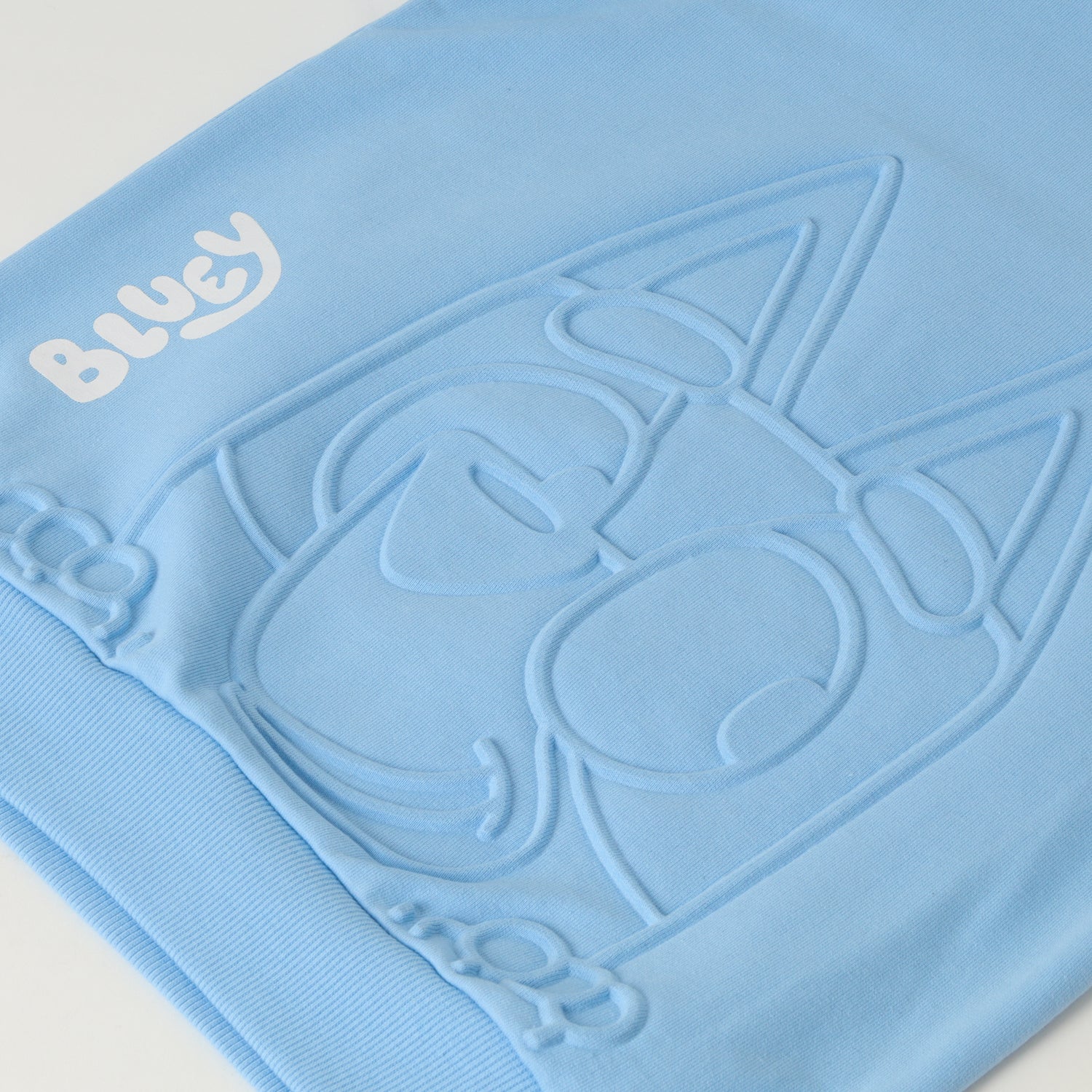 Poleron Cerrado Niño Relieve Emboss Celeste Bluey