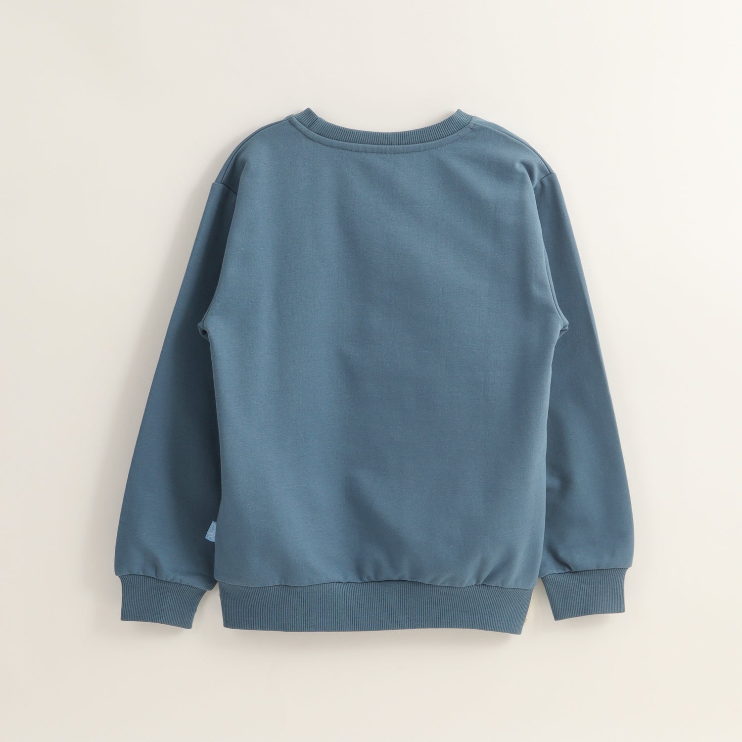 Poleron Cerrado Niño Relieve Emboss Azul Sonic