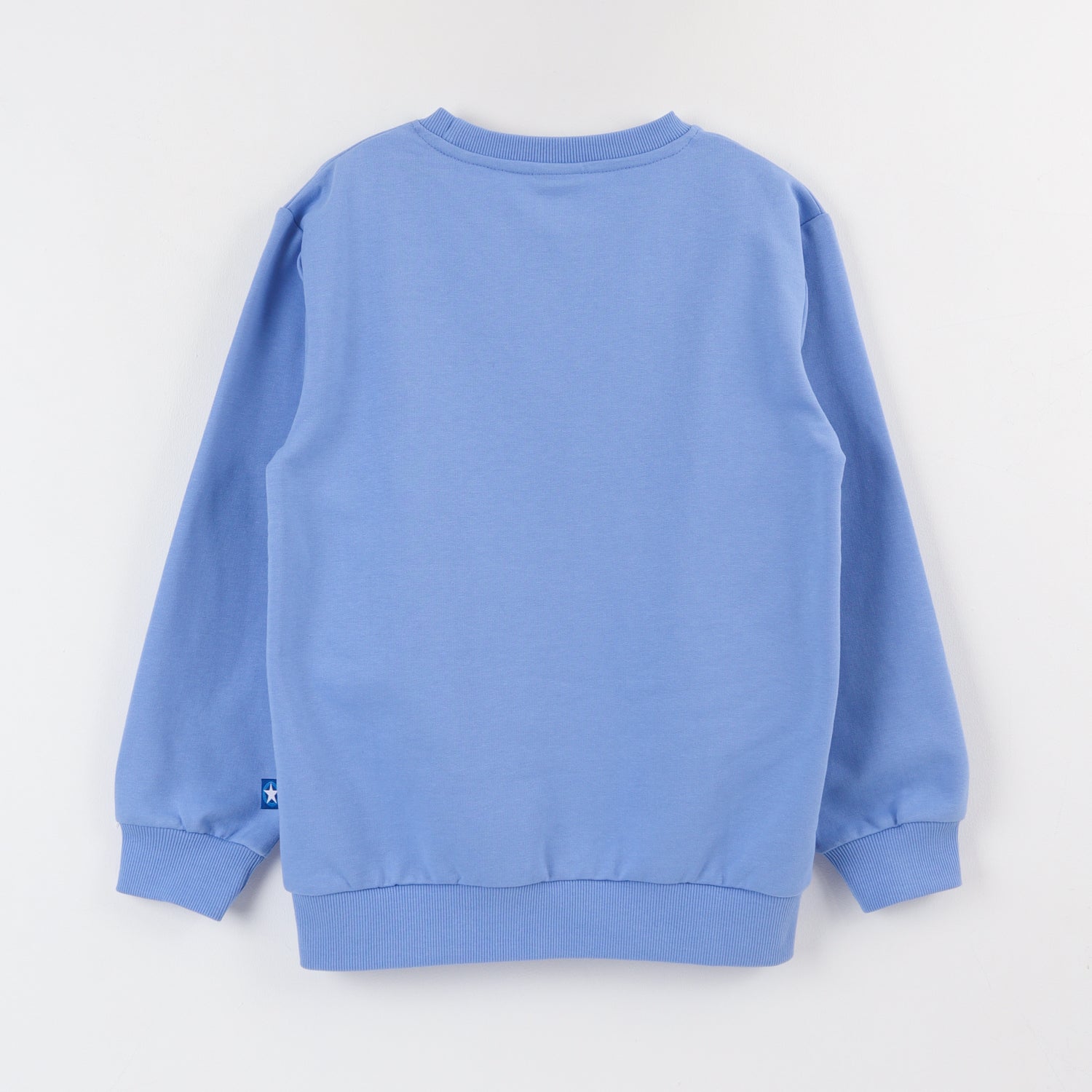 Polerón Cerrado Niño Azul Personaje Grande Sonic