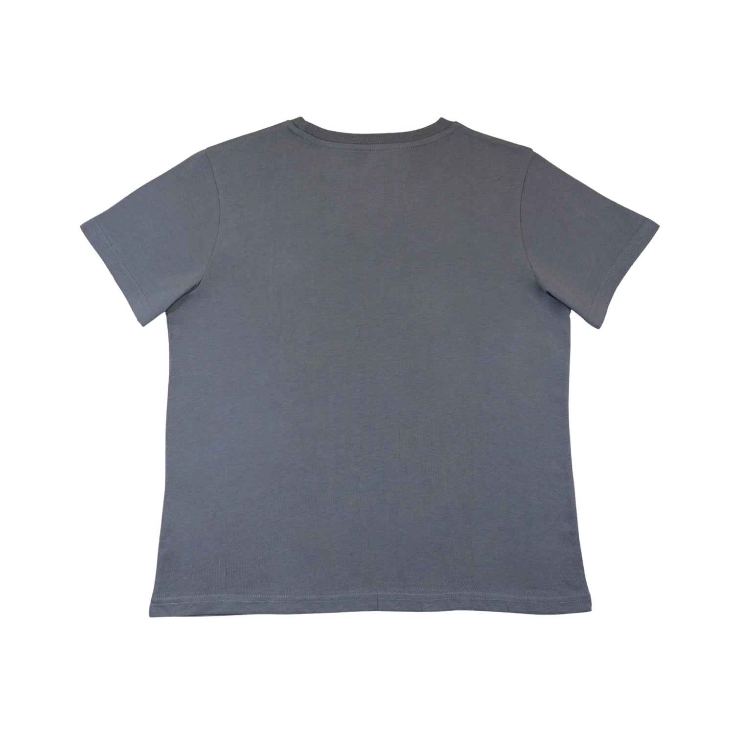 Polera Mujer Aminals Tour Gris Pink Floyd