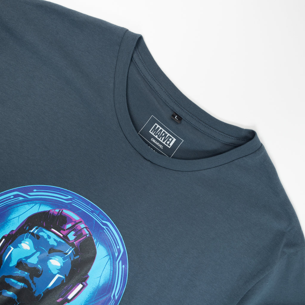 Polera Hombre  Marvel Ant Man Azul Marino